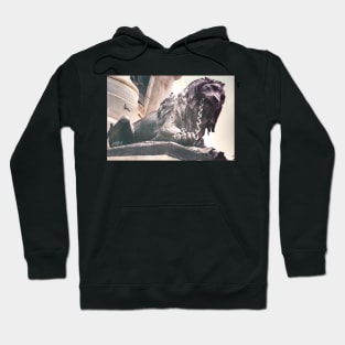 Lion in chains Hoodie